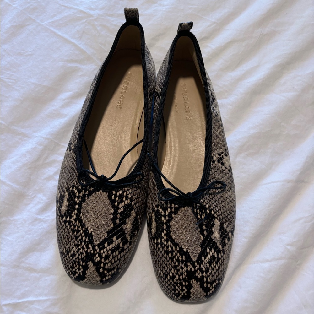 Everlane The Ballet Flat - Snake